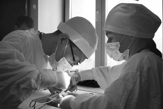 На фото:  10-я межрегиональная студенческая олимпиада по хирургии СФО